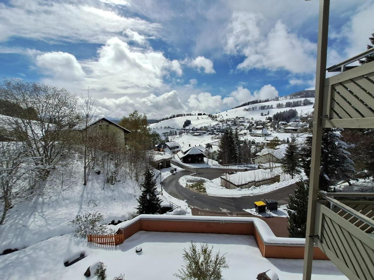 Residenz Schauinsland, Ganzes Appartement, Sauna Todtnau Exterior photo